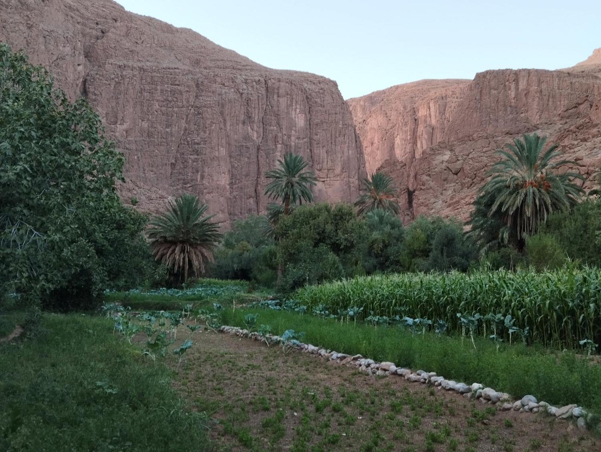 Riad La Fleur Aït Baha Εξωτερικό φωτογραφία
