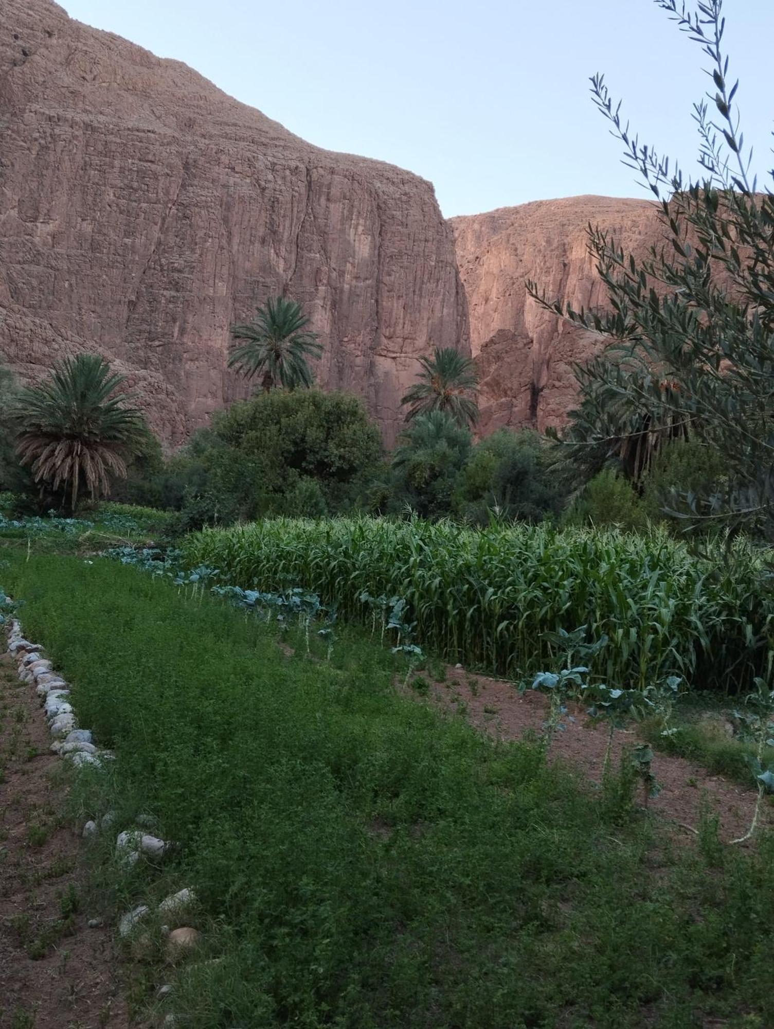 Riad La Fleur Aït Baha Εξωτερικό φωτογραφία